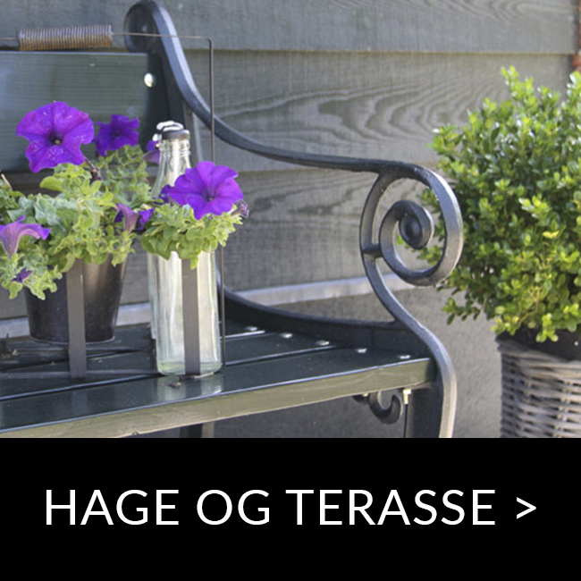 hage og terasse